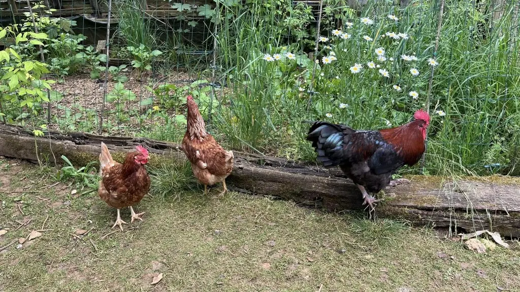 walking tour may - image credit Berty Gite 9