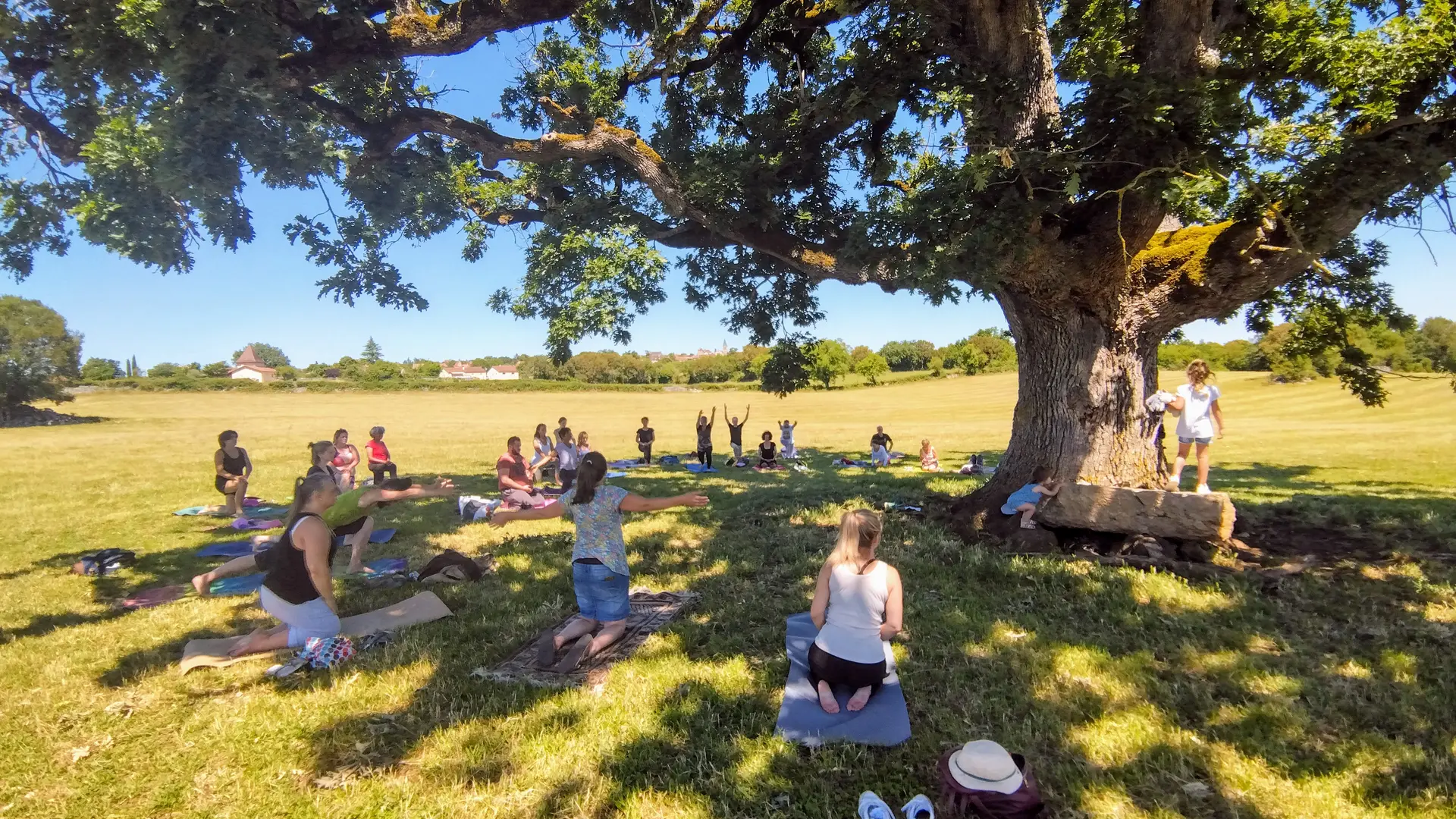 yoga à l'ombre d'un grand chêne