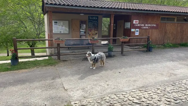 CAMPING MUNICIPAL LE CANTAL