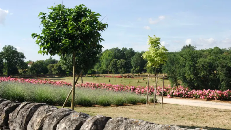 Jardin