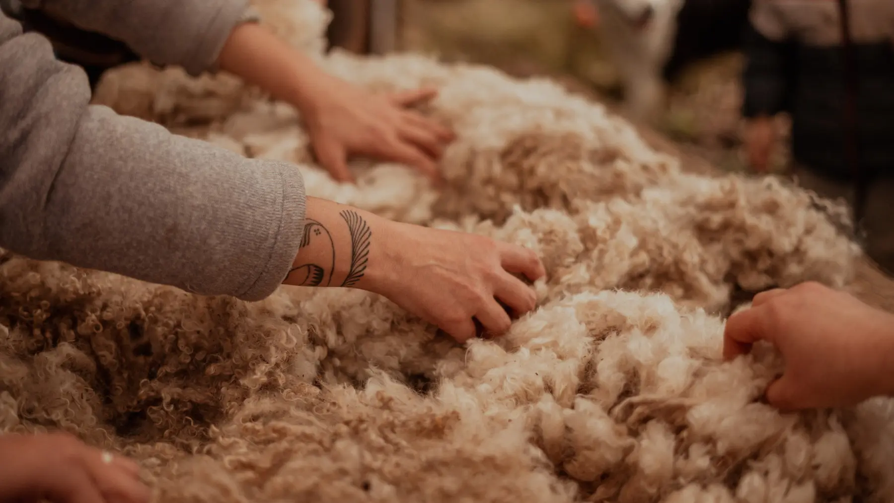 Le nettoyage du Mohair