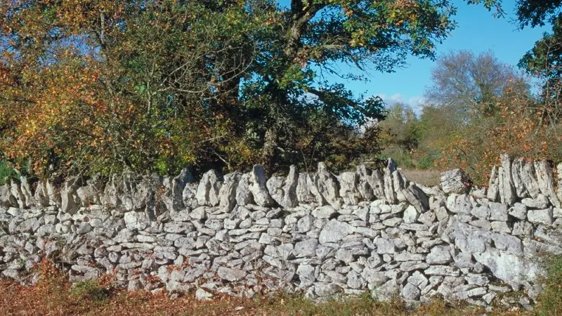 Muret de Pierres Sèches