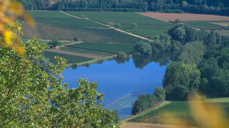 Vue sur le Vignoble