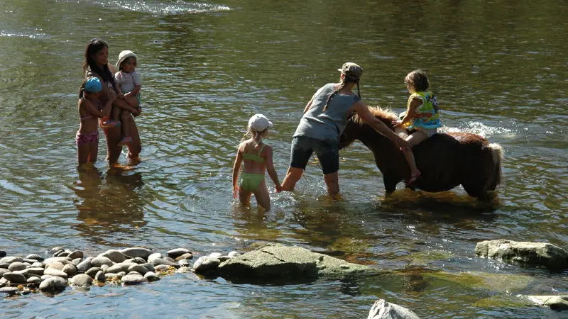 Aire Naturelle Camping de Lasfargues