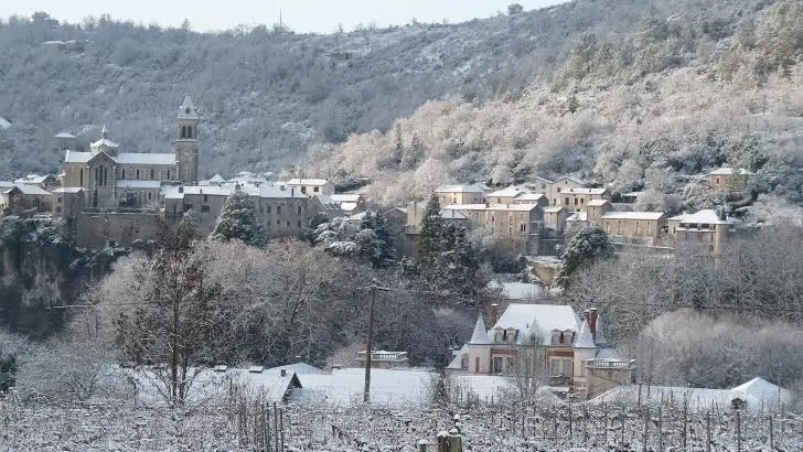 Albas sous la neige