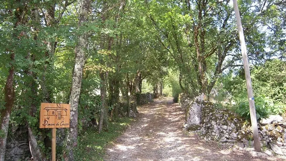 Allée d'entrée au domaine