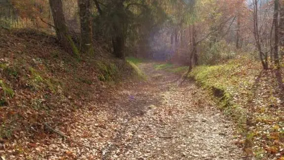 Altillac - A travers les GR 2 - VTT