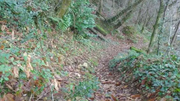 Altillac - A travers les GR 4 - VTT
