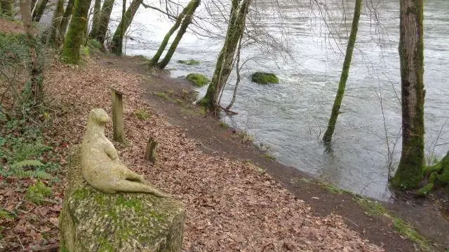 Altillac - Bords Dordogne 2 - VTT