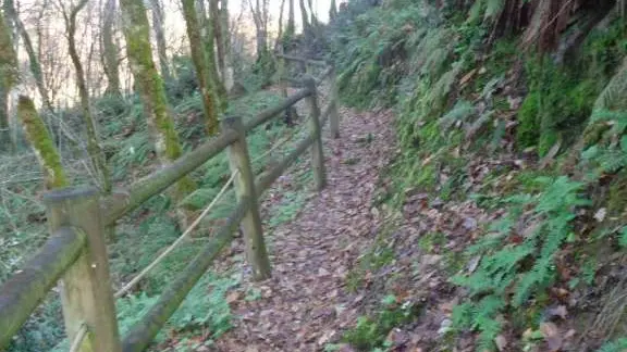 Altillac - Bords Dordogne 5- VTT