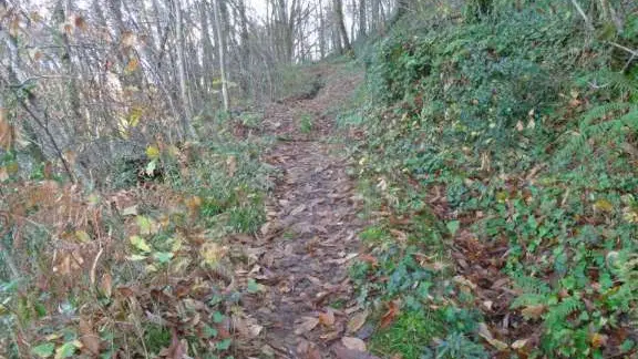 Altillac - Château du Doux 4 - VTT