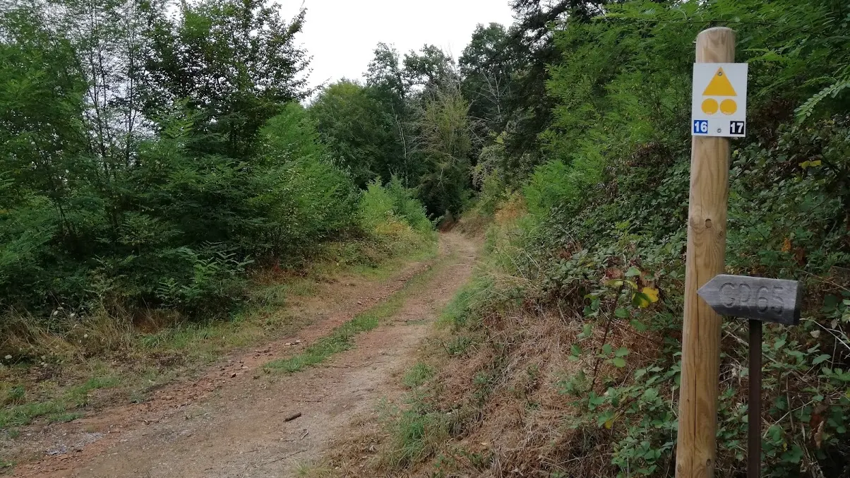 Altillac - Château du Doux 5 - VTT