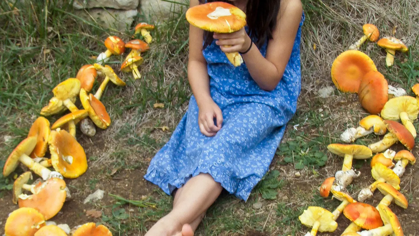 Ambre au milieu des champignons_03 © Boris - Lot Tourisme