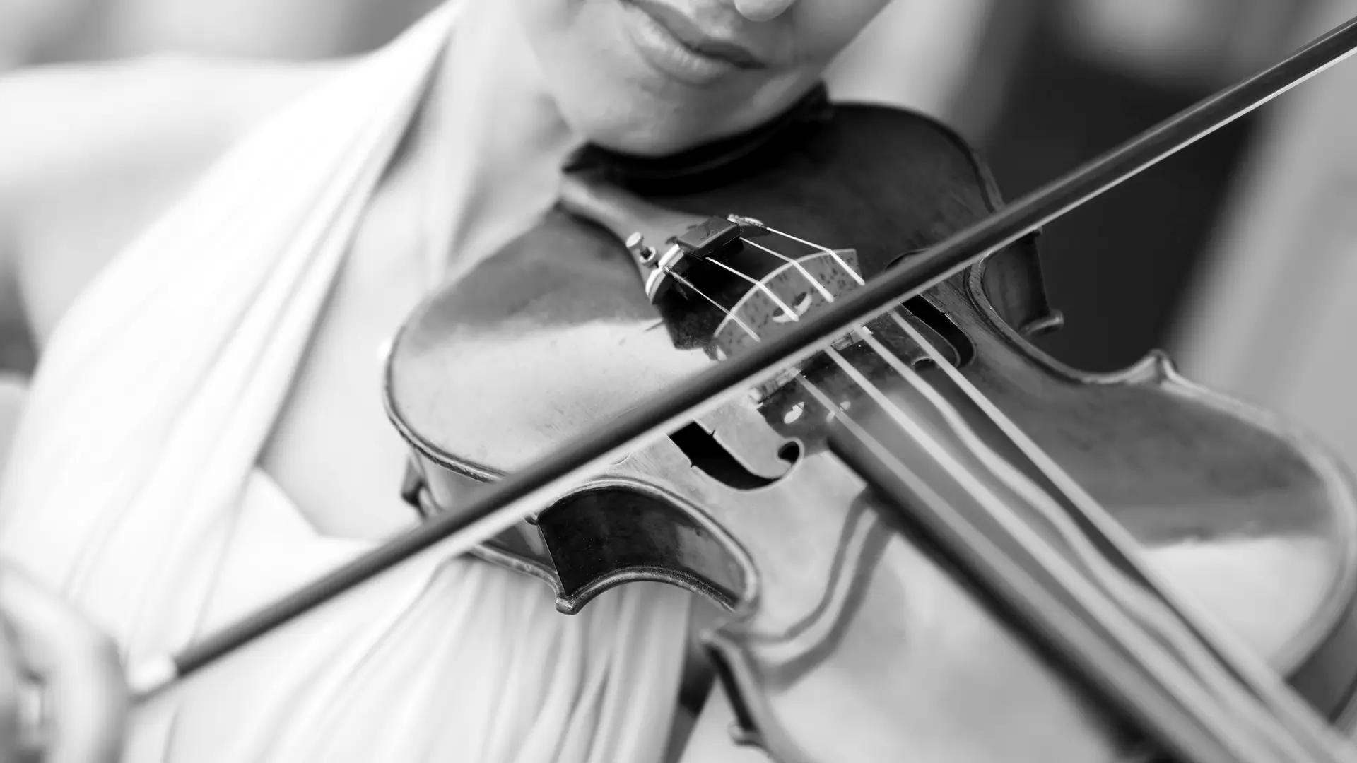 Anima Audiovisuel - 2 - Images d'illustration (2)