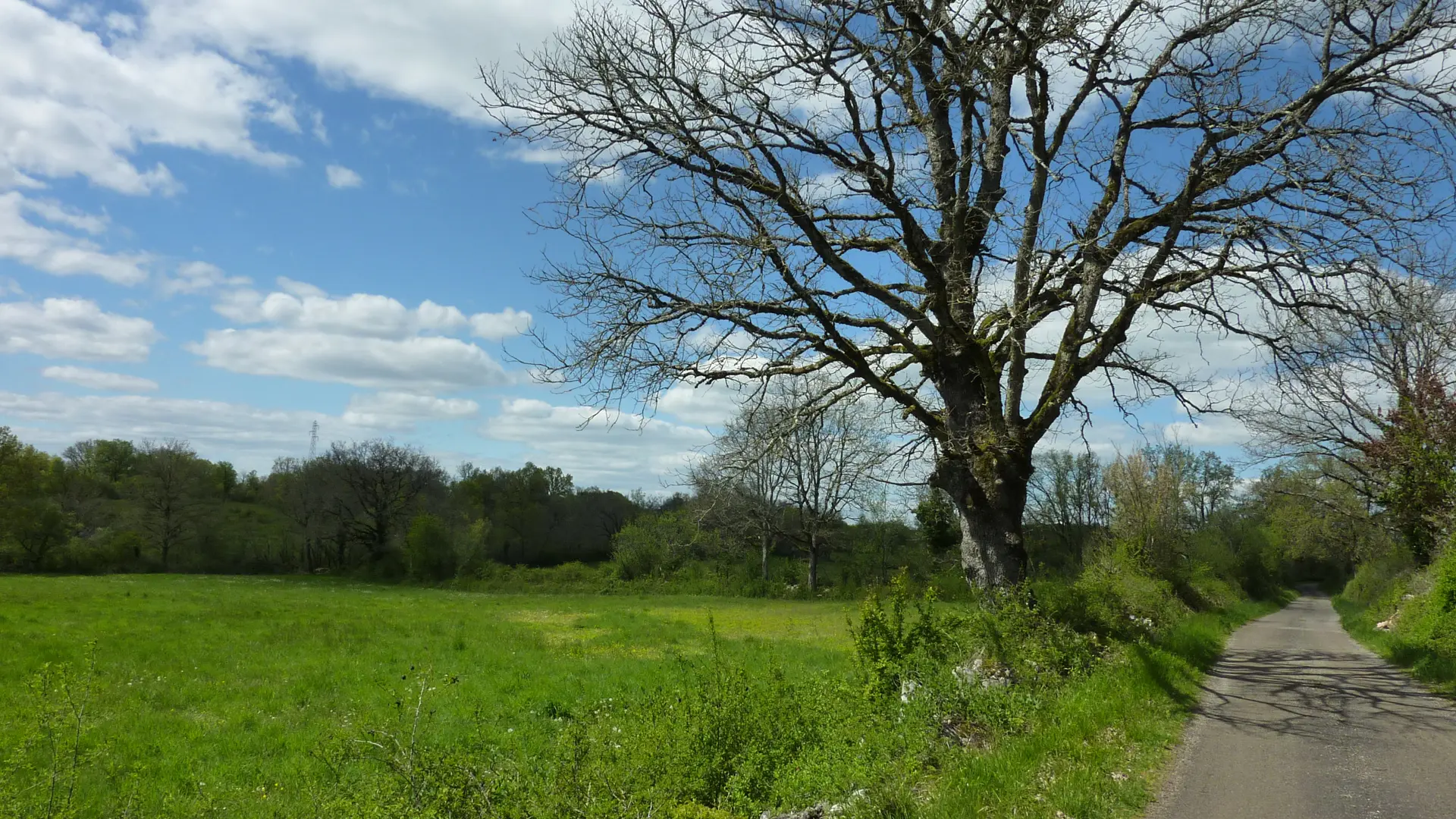 Assier - Balade autour de prairies verdoyantes_07 © Lot Tourisme - C. Sanchez