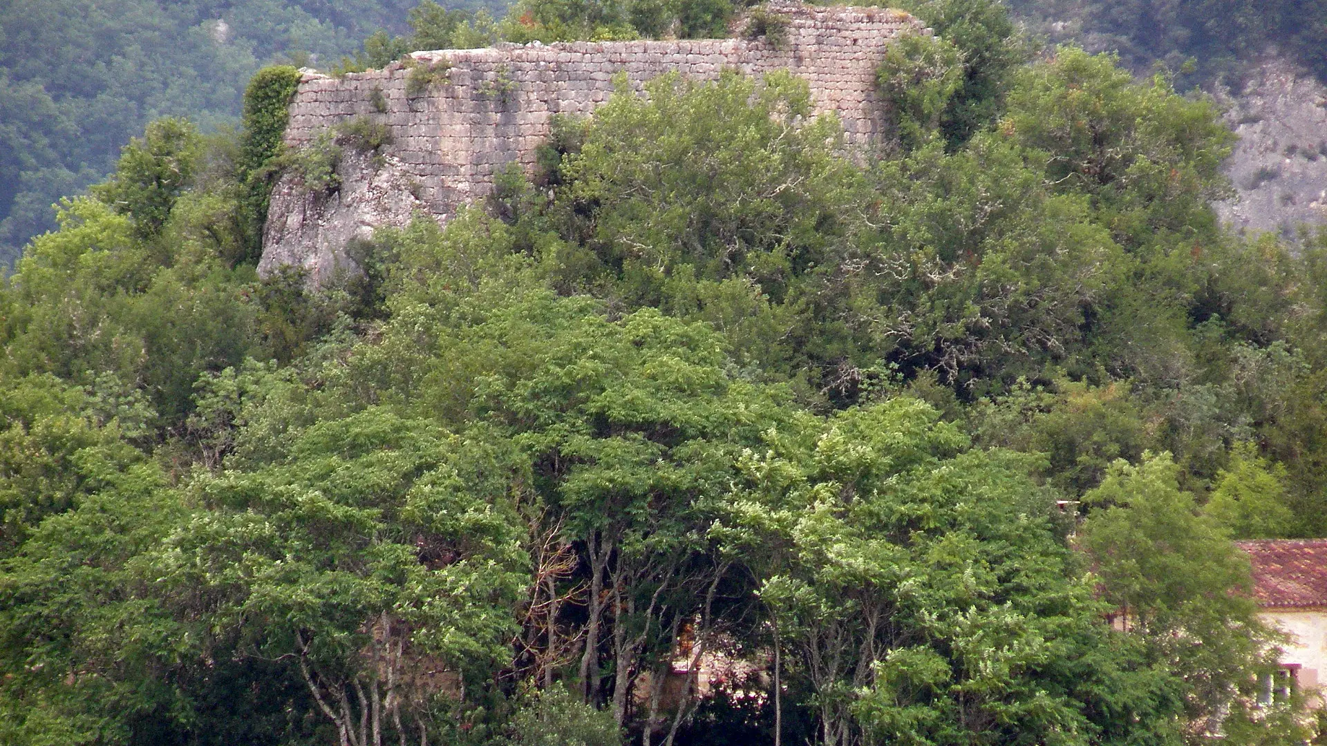 Arcambal_Béars3