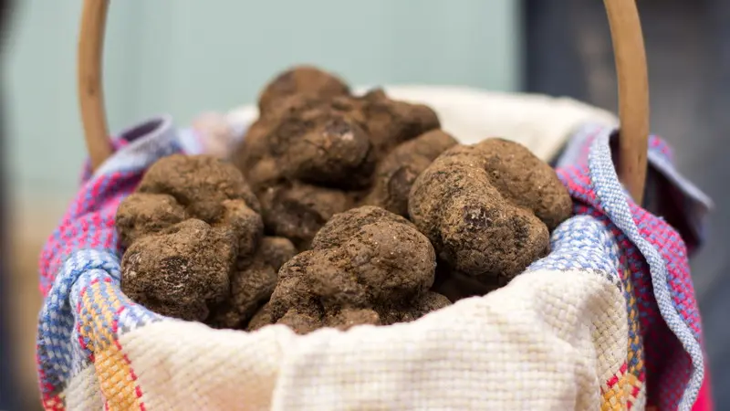 Au Marché aux truffes à Lalbenque