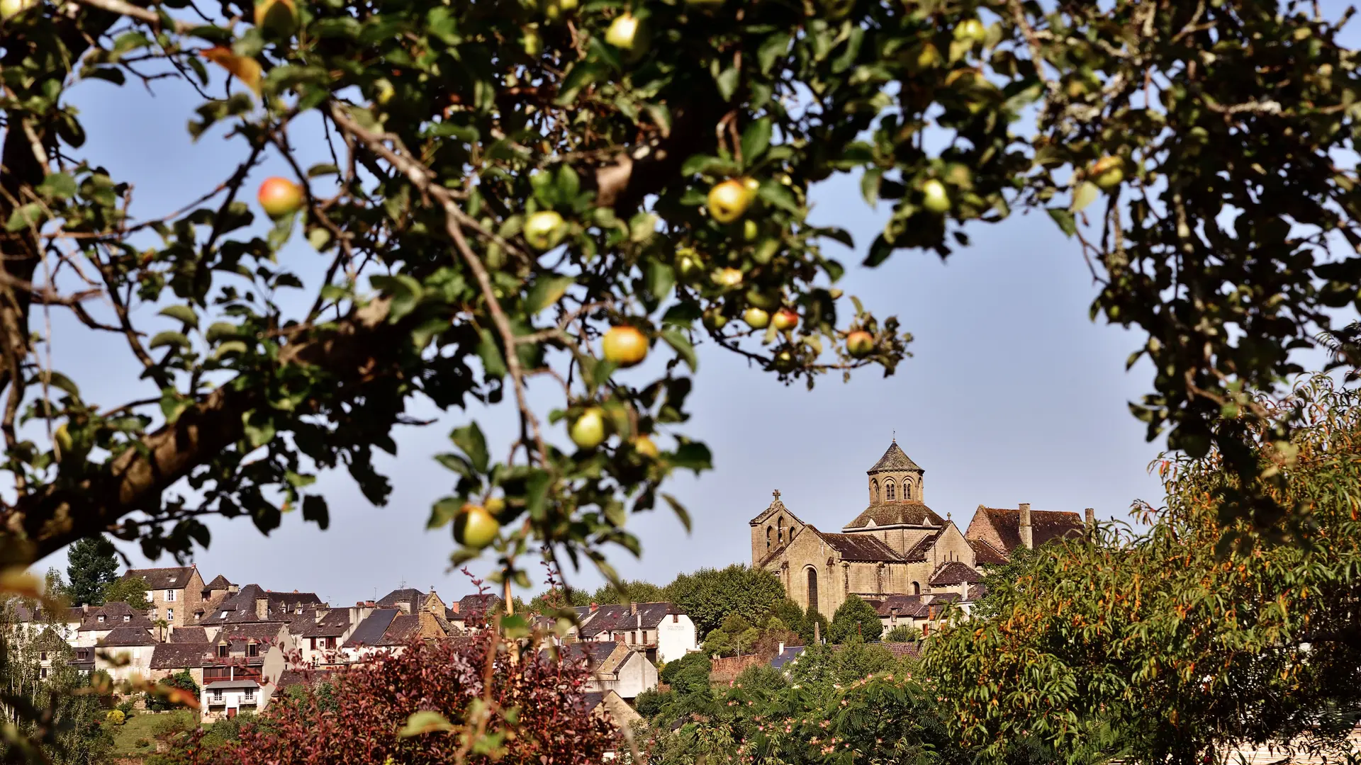 Aubazine-Ramshorn-300dpi-013