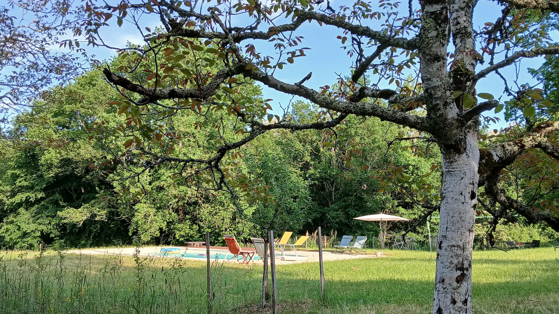 Autre angle de vue sur la piscine