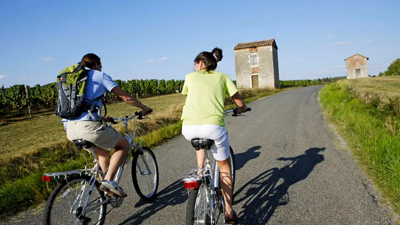 Cyclotourisme dans le Vignoble