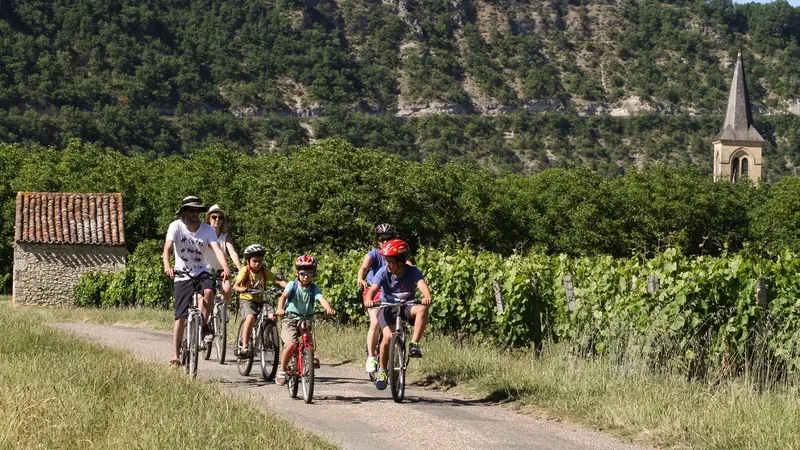 A vélo dans les vignes - Véloroute Vallée du Lot