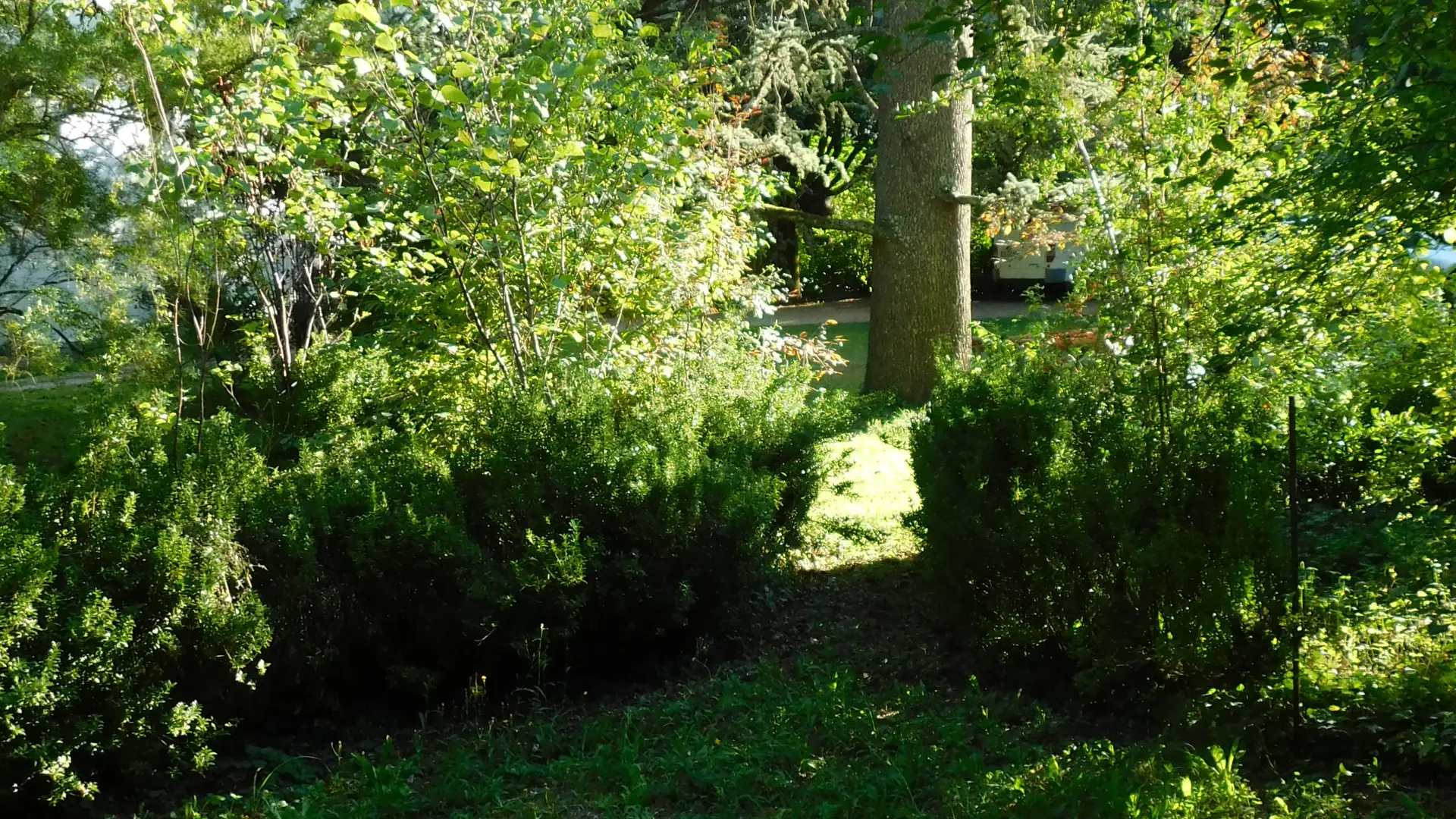 Banc secret - 0071_004