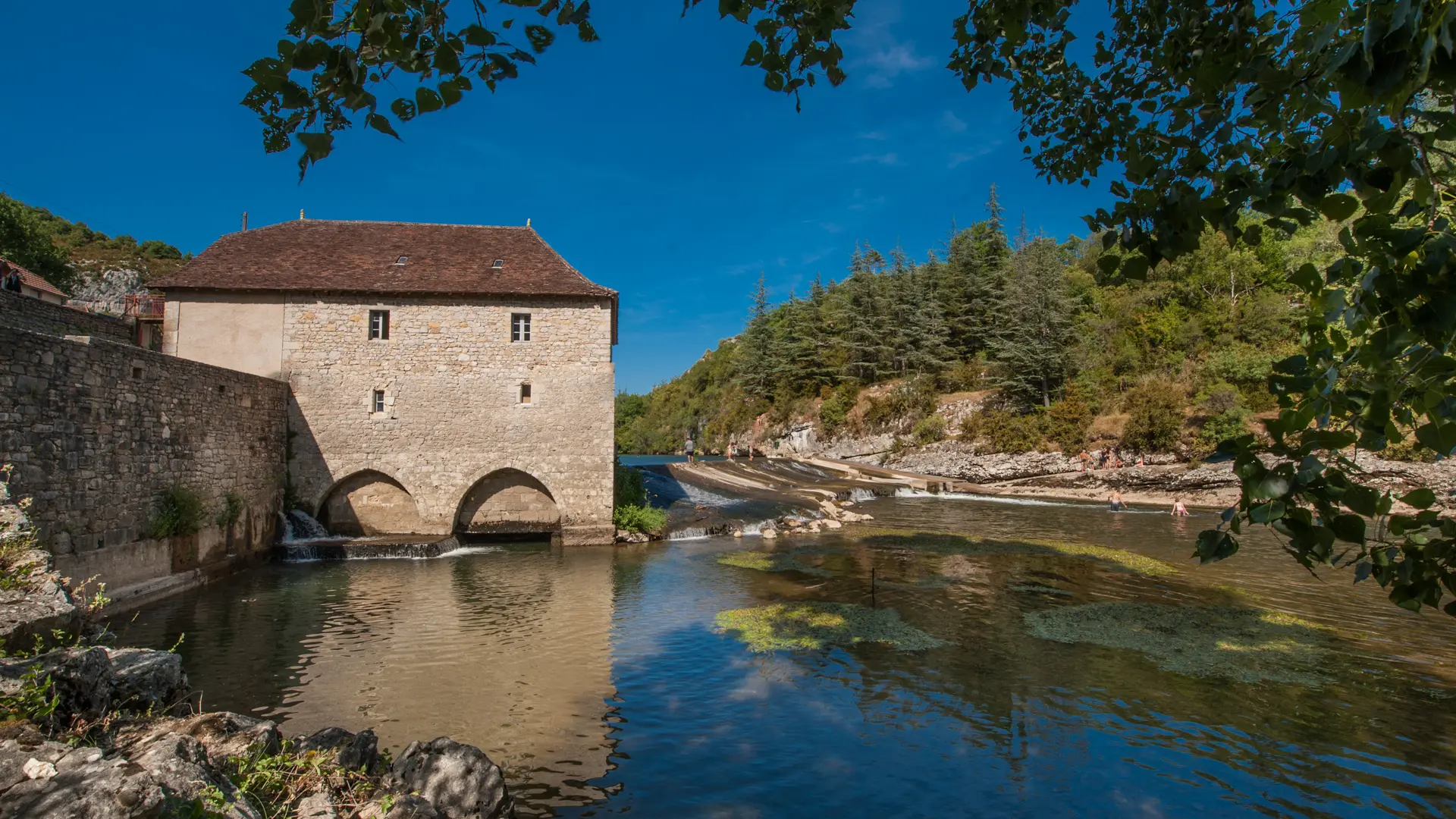 Baignade dans le Célé à Cabrerets_02 © Lot Tourisme - C. ORY