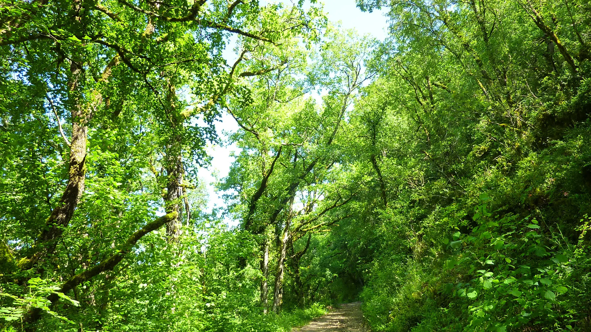 Balade sous le Bois de Vaillague_01 © Lot Tourisme - C. Sanchez