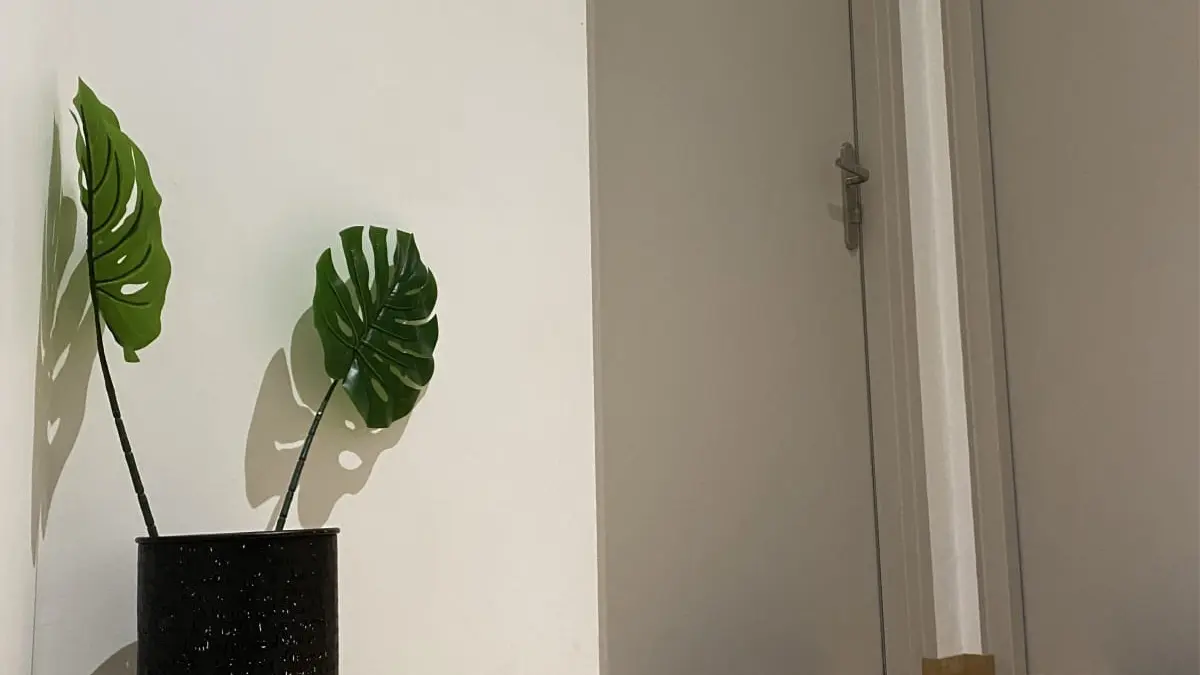 Bartassec 2 entrée