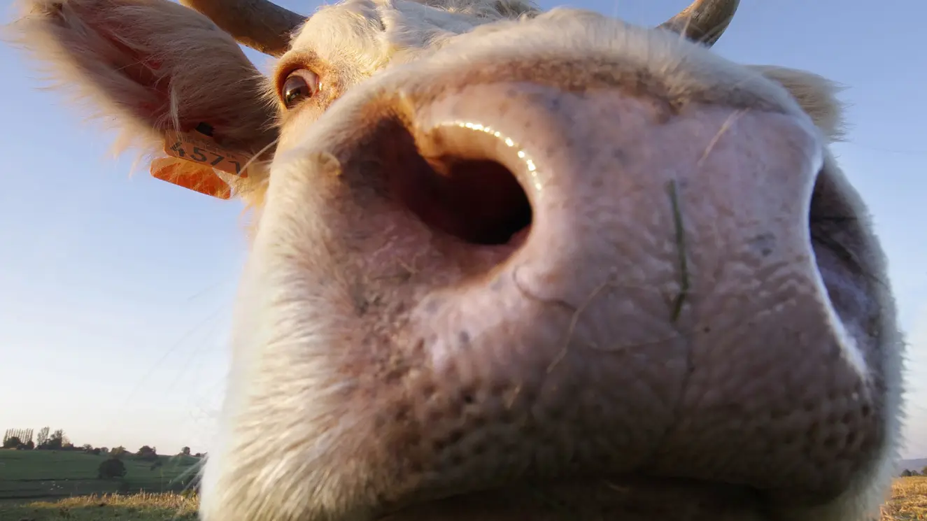 Baronnies-20161102-4194-2000