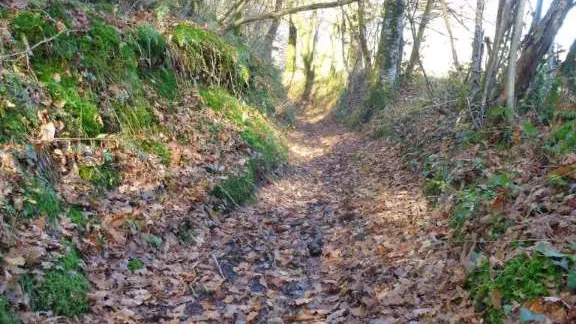 Beaulieu à Queyssac 2 - VTT