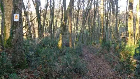 Beaulieu à Queyssac 3 - VTT