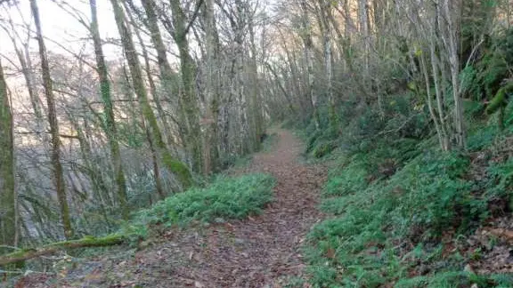 Beaulieu à Queyssac 6 - VTT