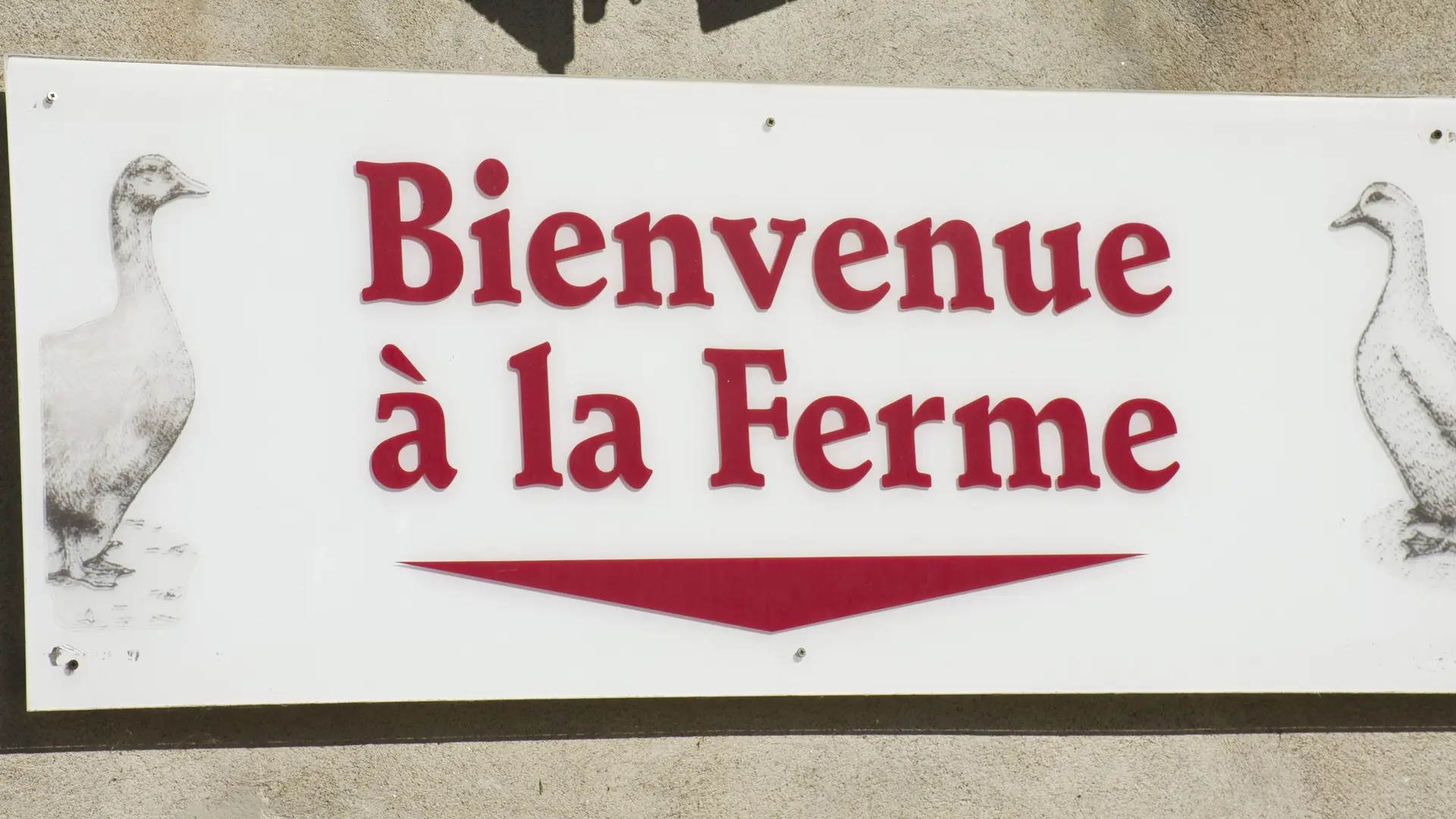 Bienvenue à la ferme