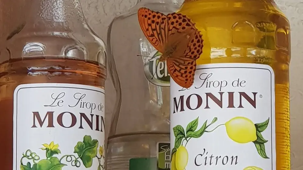 Bouteilles Le Moulin de St Martial