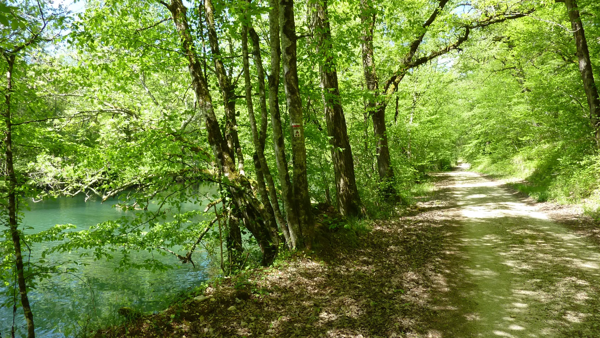 Bourgnou - Balade sur les berges de l'Ouysse_07 © Lot Tourisme - C. Sanchez