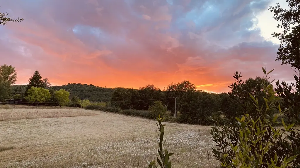 Bourdicou_02032023 (3)