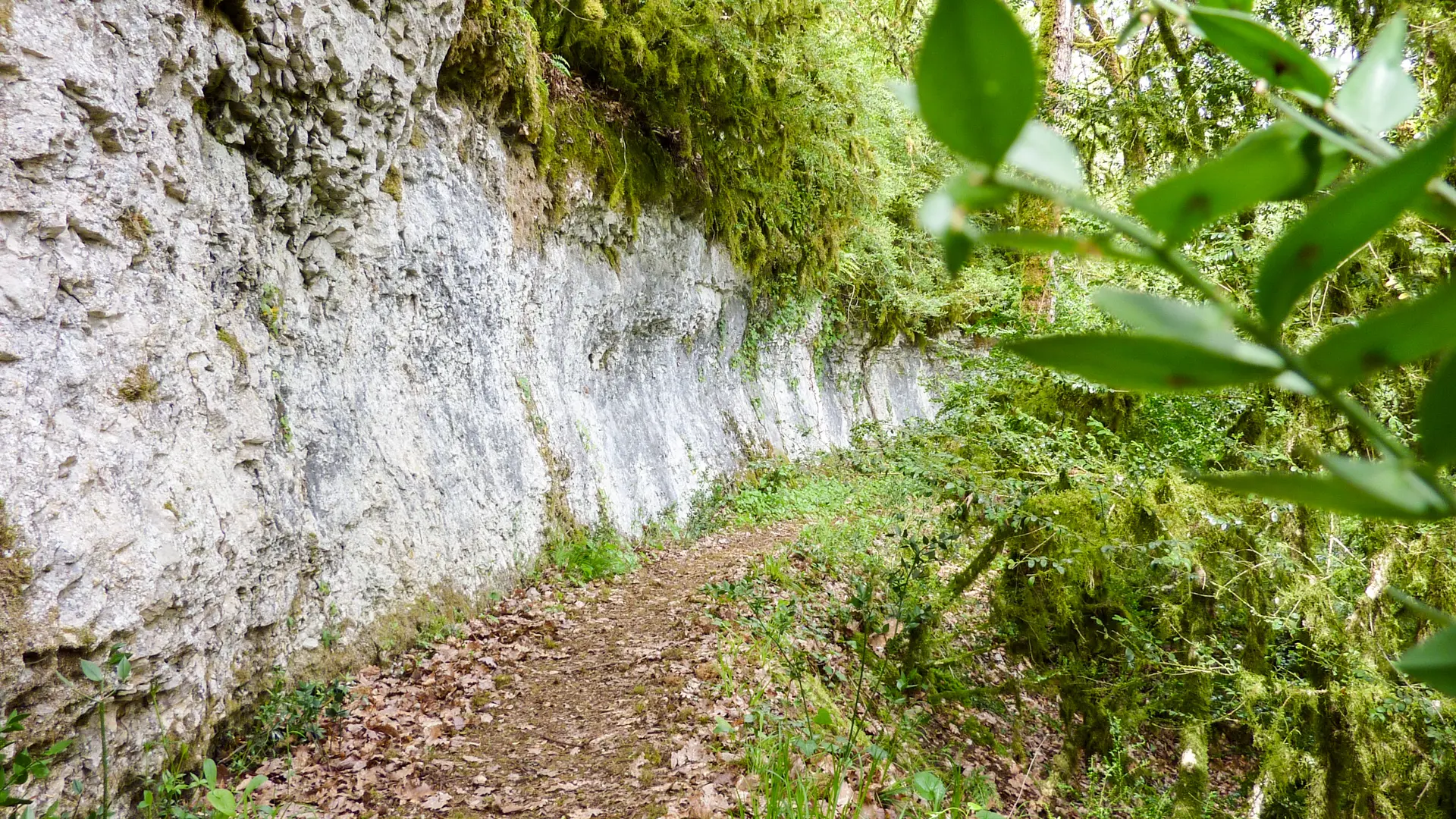 Blanzaguet - Flanc de falaise sous le Roc des Monges © Lot Tourisme - C. Sanchez