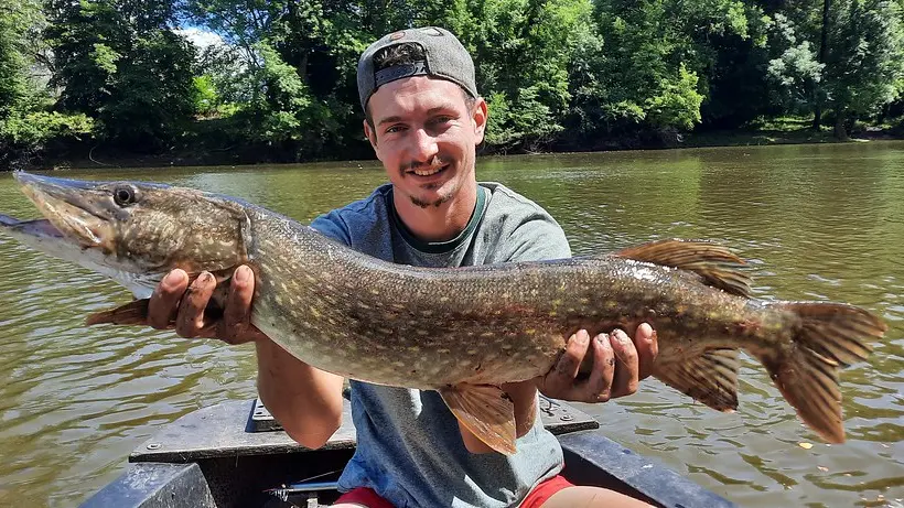 Un beau brochet capturé au leurre sur nos bateaux.