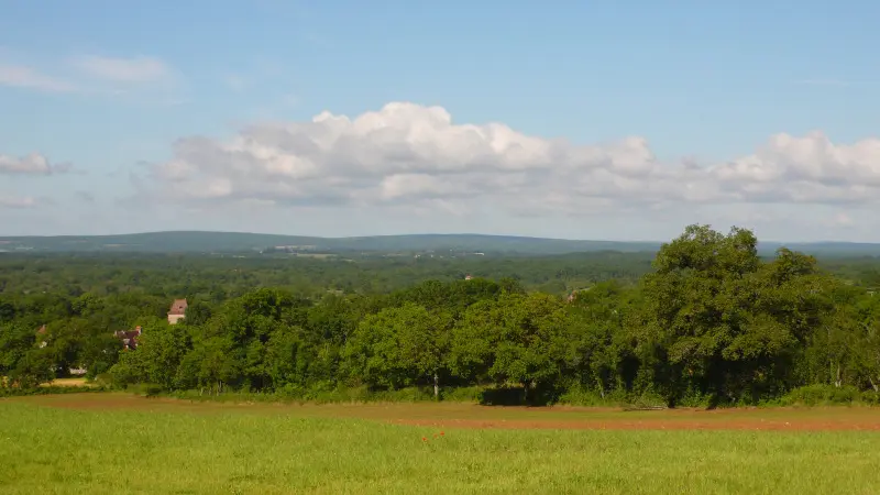 Paysage de Limargue