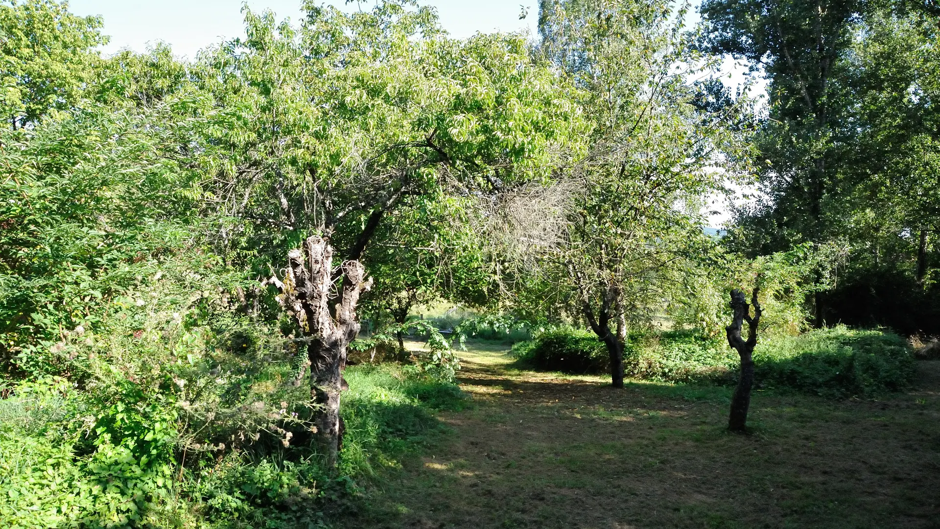 Le jardin, havre de paix