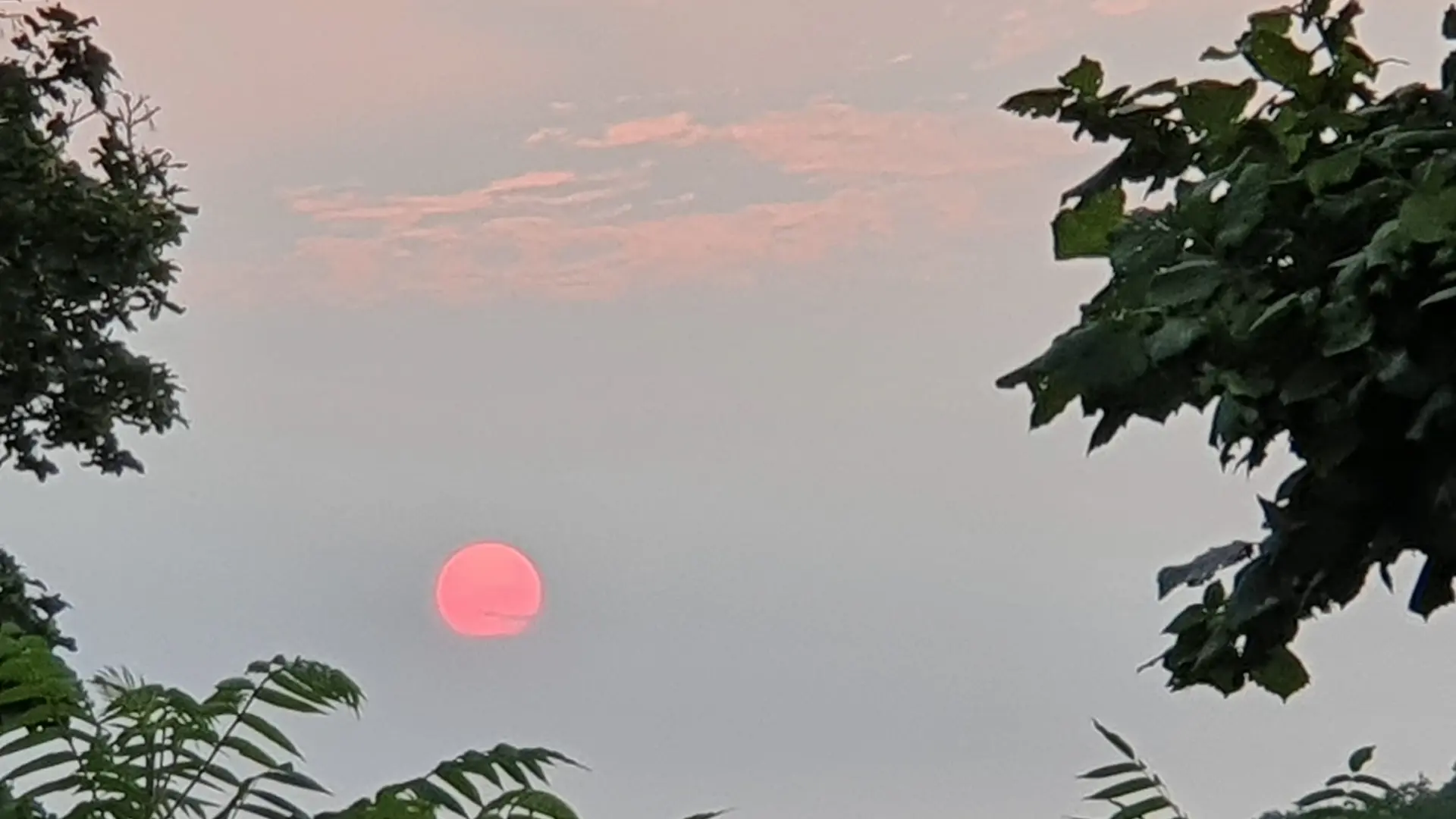 COUCHER DE SOLEIL VU DU GITE