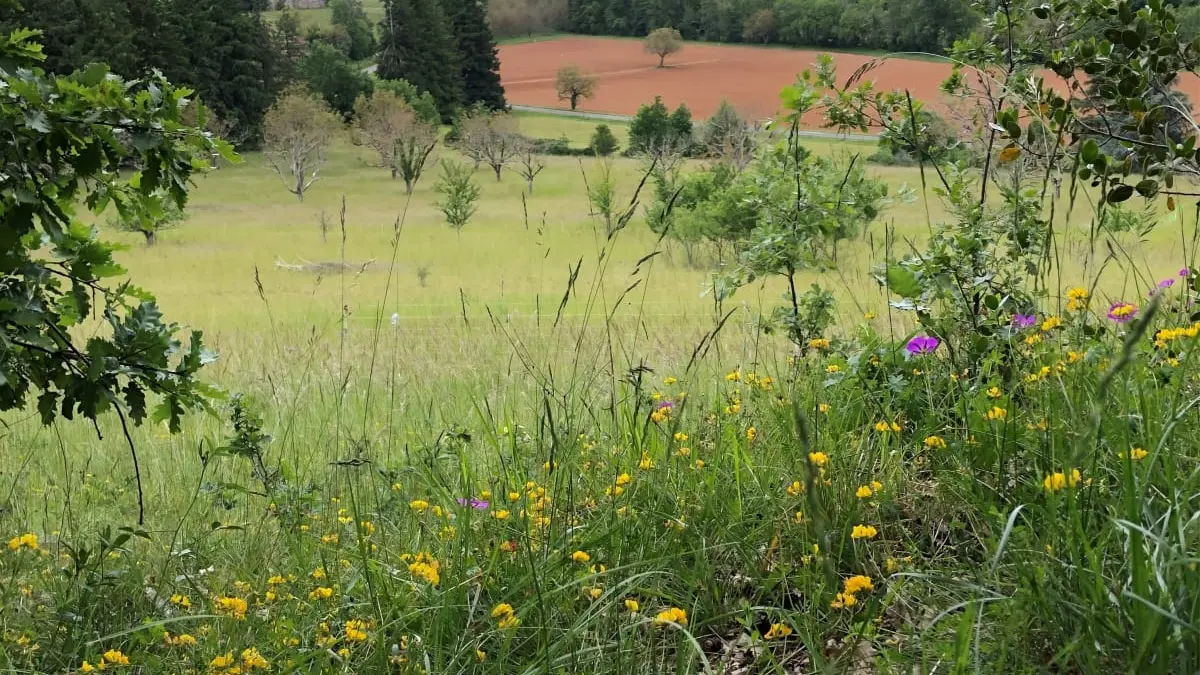 Camille accompagnateur sportif
