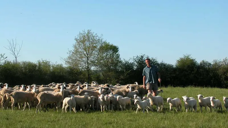 Camping - La Ferme en Paille