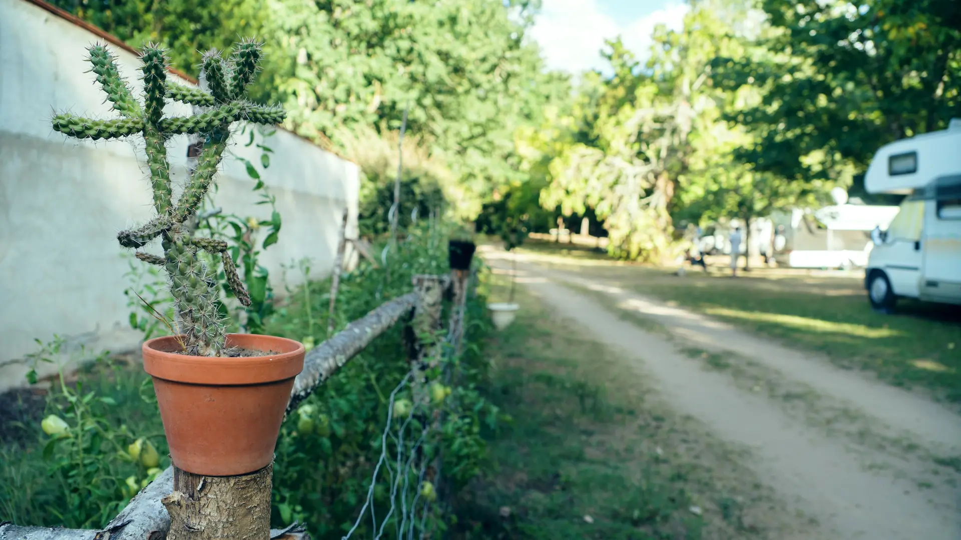 Aire naturelle les grands chênes- cactus