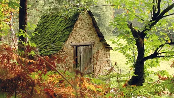 Cabane de vigne