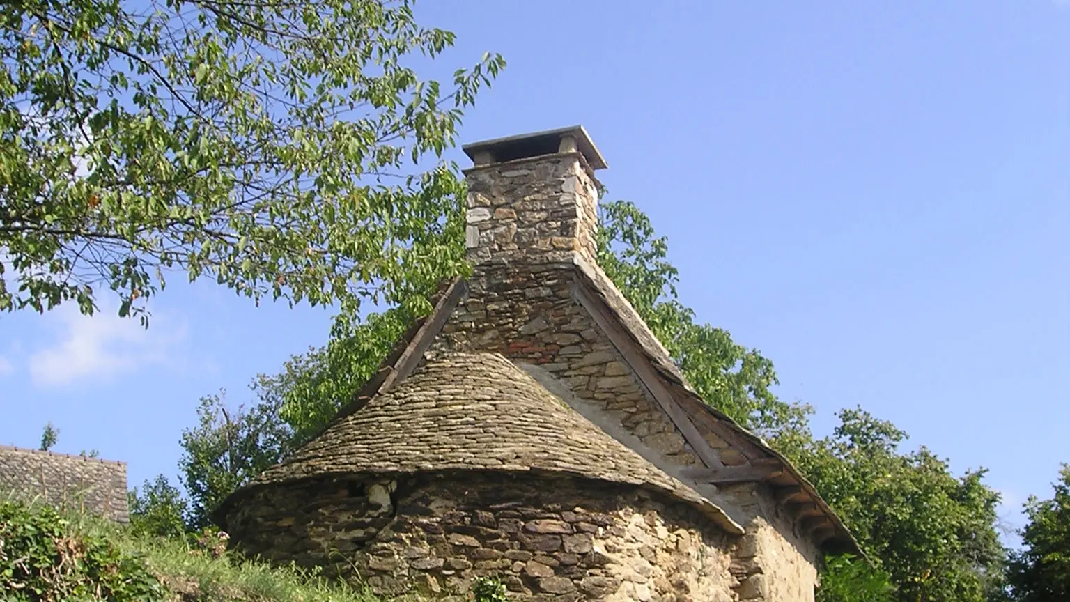Cahus