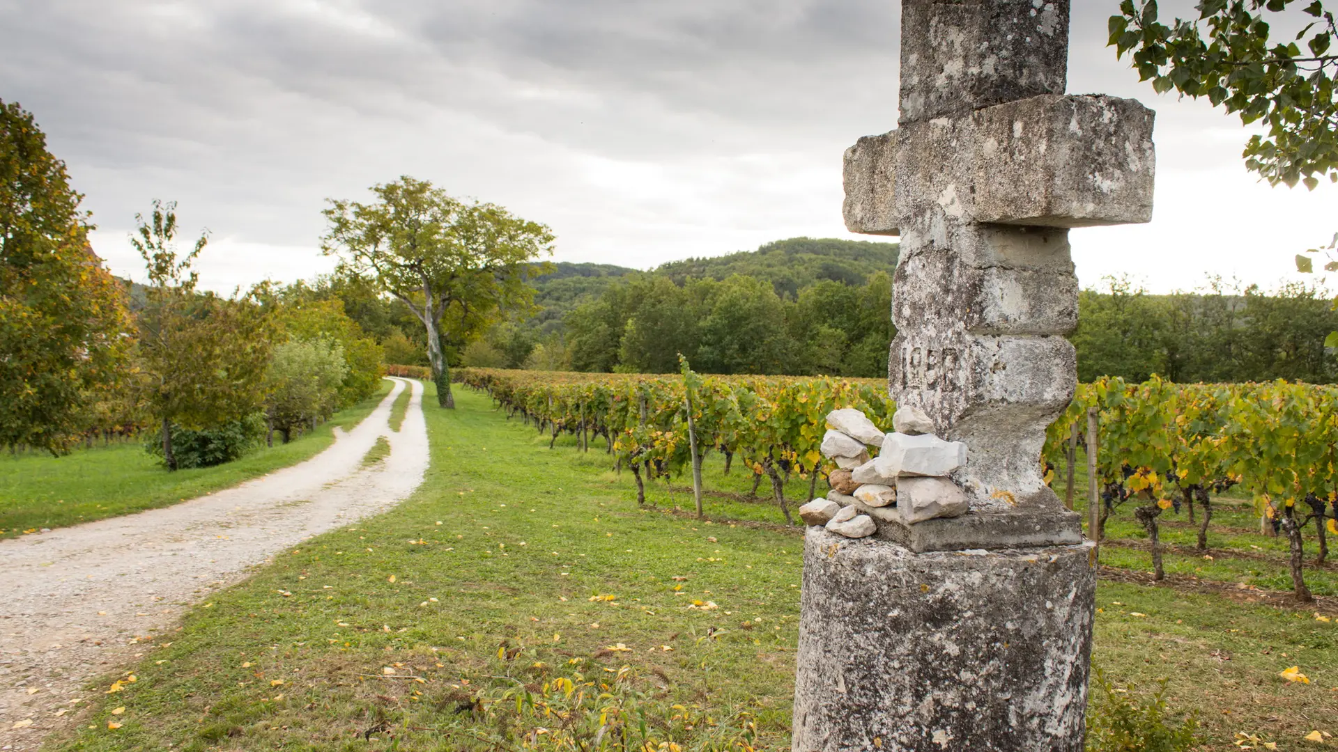 Caillac - Calvaire et Vignes à Caillac