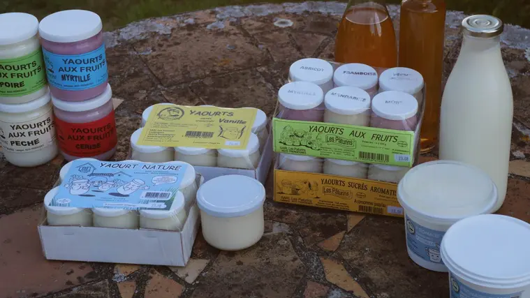 Capture d’écran 2025-12-04 190039