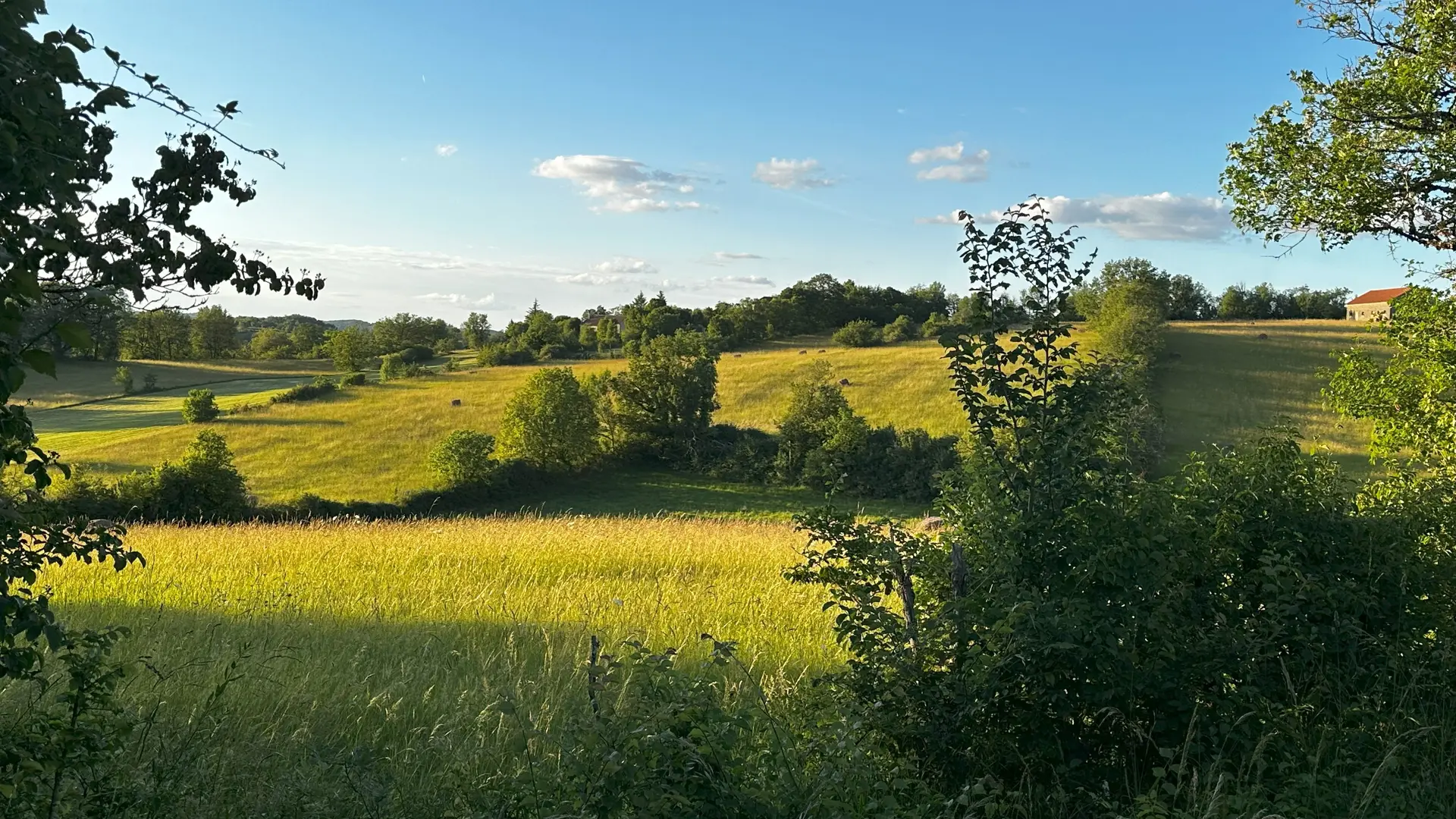 Le causse